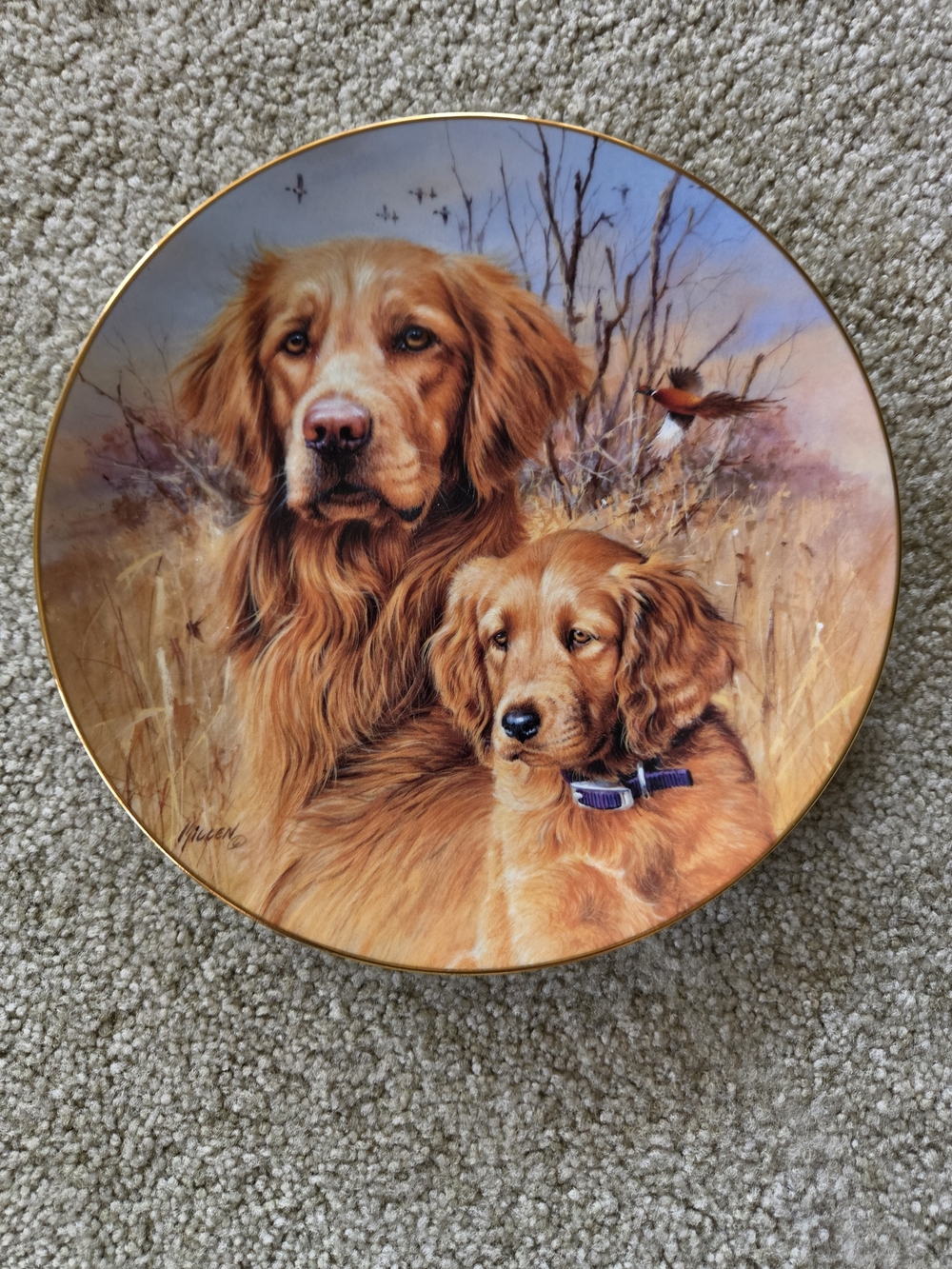 Golden Retriever Decorative Collector Plate - Brown and Gold